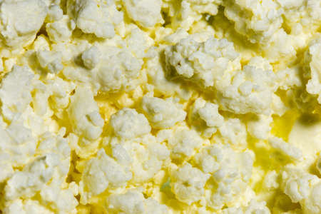 Fresh white cheese as backgroundの写真素材