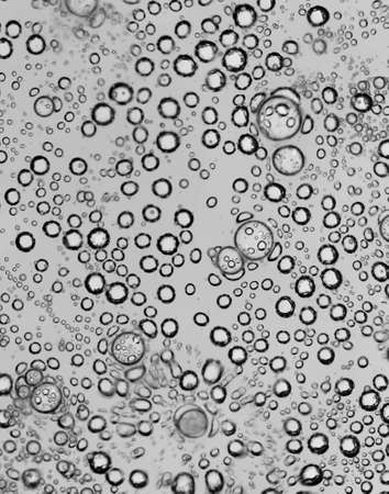 bubbles in water close-up black-and-white background