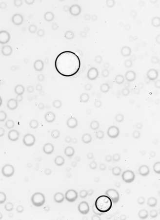 bubbles in water close-up black-and-white backgroundの写真素材