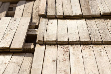 Wood texture in yellow colors. Natural wood. Pine.の写真素材