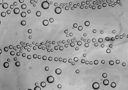 bubbles in water close-up black-and-white background