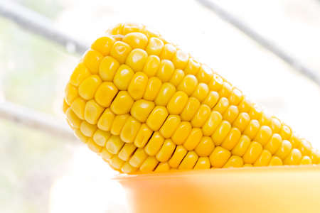 Macro view of fresh yellow sweet corn or maizeの写真素材