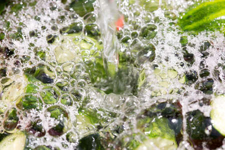 Fresh cucumbers for picklingの写真素材