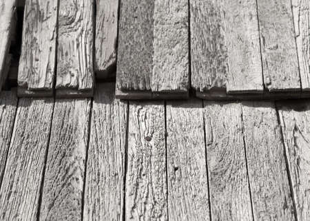Wood texture in yellow colors. Natural wood. Pine.の写真素材