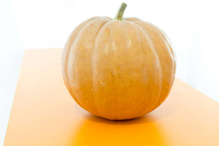 pumpkin on the tableの写真素材