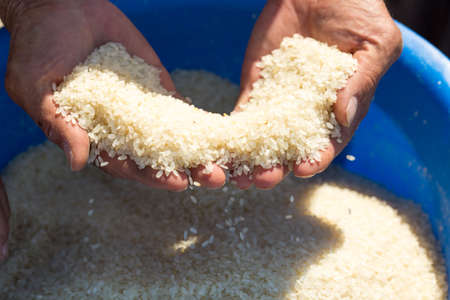 man cleans rice for pilafの写真素材