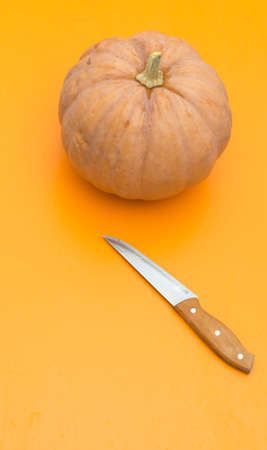 pumpkin on the tableの写真素材