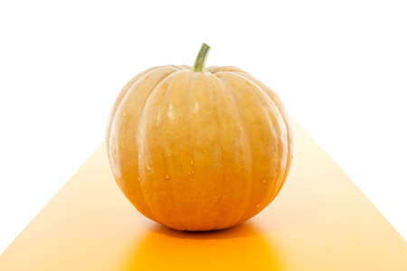 pumpkin on the tableの写真素材