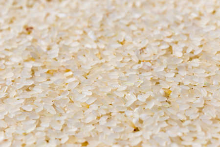 Uncooked white rice backgroundの写真素材