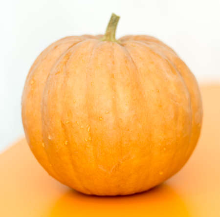 pumpkin on the tableの写真素材