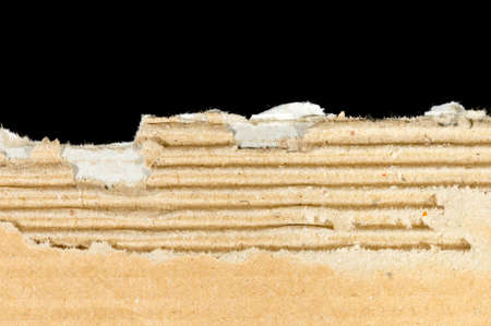 Ripped cardboard on black backgroundの写真素材