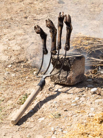 traditions of Kazakh people, slaughtered a ram and with the help of the fire removed the hair on the legs. This puts the meat on top of the national dishes beshbarmak.の写真素材