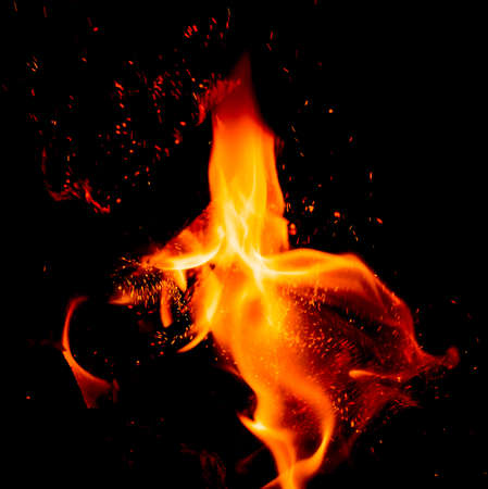 Fire flames on black backgroundの写真素材