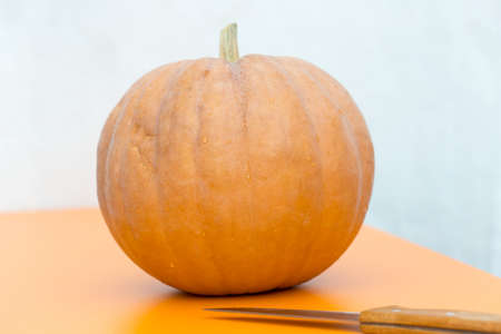 pumpkin on the tableの写真素材
