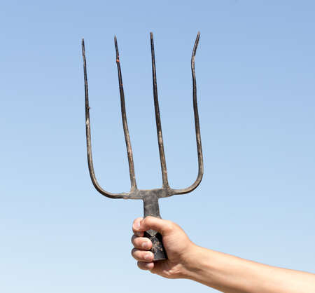 forks grass in a man's hand on a background of blue skyの写真素材