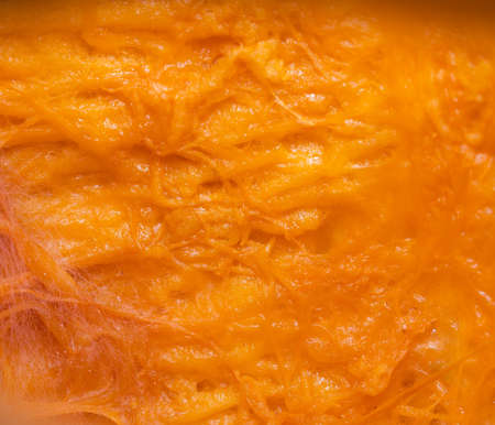 Pumpkin details from inside - texture and backgroundの写真素材