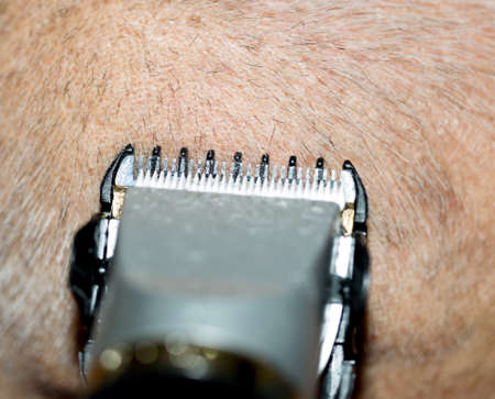 male haircut macroの写真素材