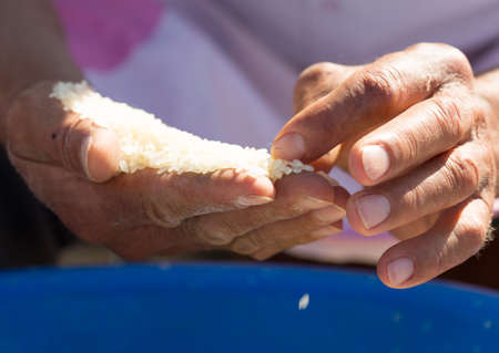 man cleans rice for pilafの写真素材