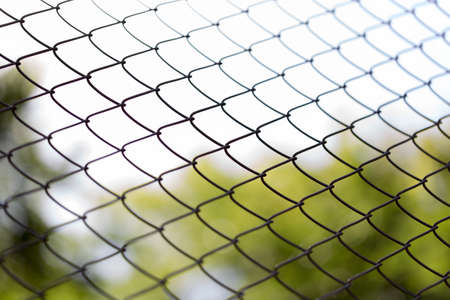 Green wire fence on background of green trees
