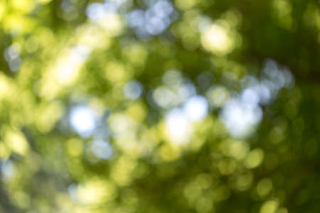 green bokeh background,green bokeh,green bokeh abstractの写真素材