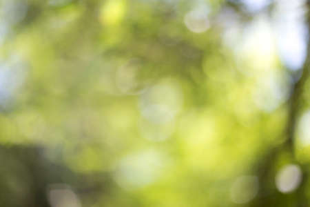 green bokeh background,green bokeh,green bokeh abstractの写真素材