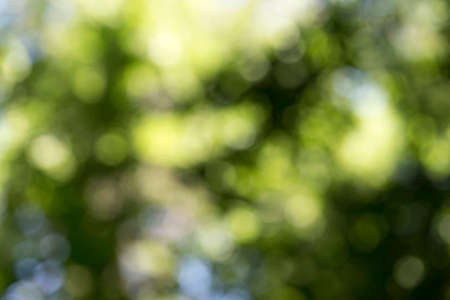 green bokeh background,green bokeh,green bokeh abstractの写真素材