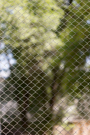 Green wire fence on background of green treesの写真素材