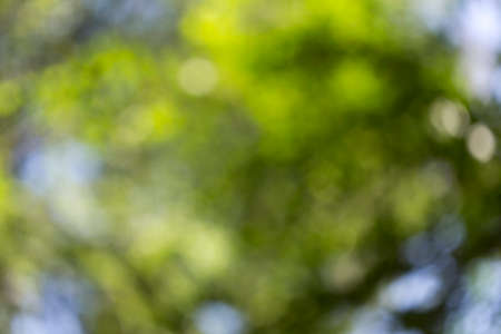 green bokeh background,green bokeh,green bokeh abstractの写真素材