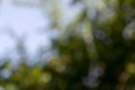 green bokeh background,green bokeh,green bokeh abstractの写真素材