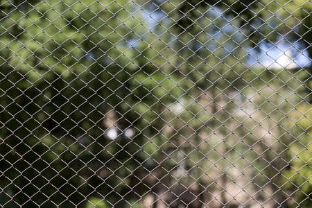 Green wire fence on background of green trees