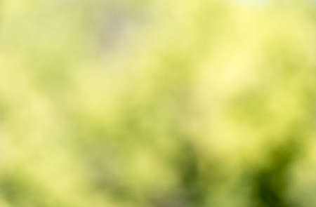 green bokeh background,green bokeh,green bokeh abstractの写真素材
