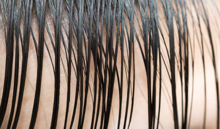 hair combed back to a young man's head close-upの写真素材