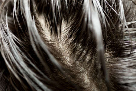 background black hair close-upの写真素材