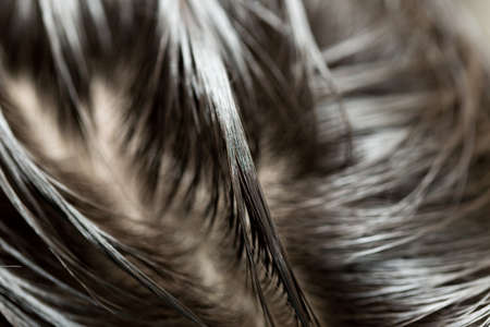 background black hair close-upの写真素材