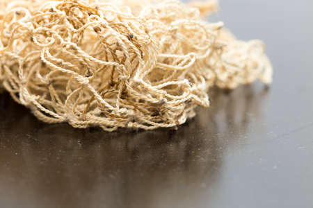 Rope isolated on white backgroundの写真素材
