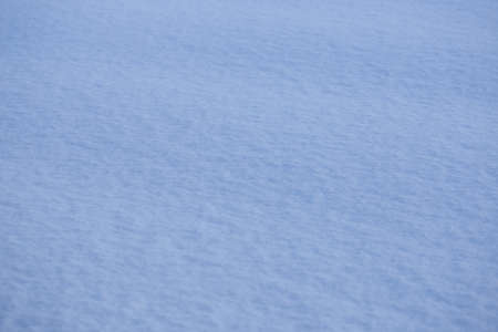 background morning snowの写真素材