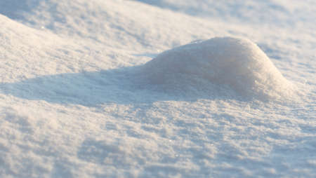 Morning snowの写真素材