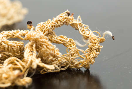 Rope isolated on white backgroundの写真素材