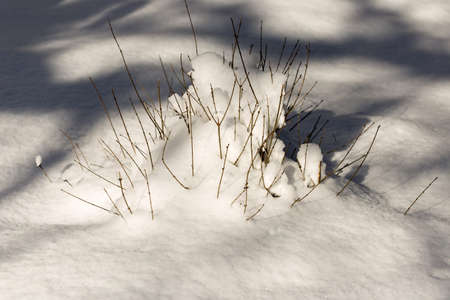 winterの写真素材