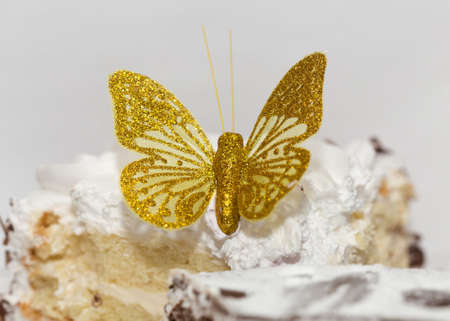 butterfly cakeの写真素材