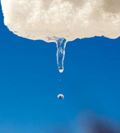 melting icicles with water dropsの写真素材