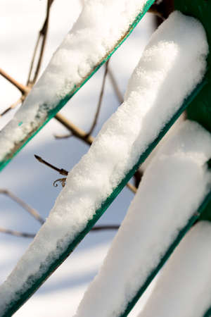 Snow on the fence macroの写真素材