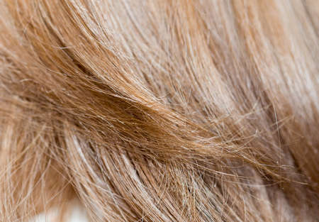 Women's hair is close-upの写真素材