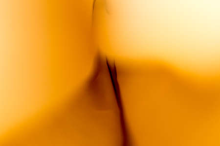 yellow curtainsの写真素材