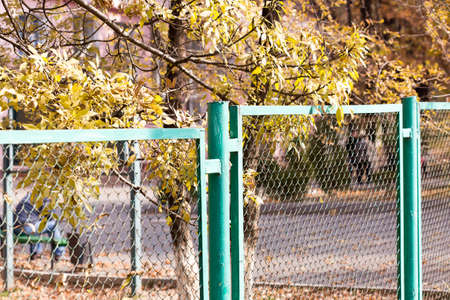 Metal fence wire, painted in blue color.の写真素材