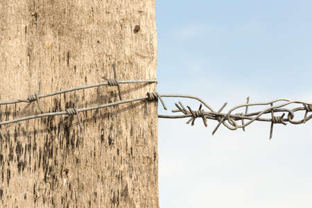 Barbed wire on a wooden post against blue skyの写真素材