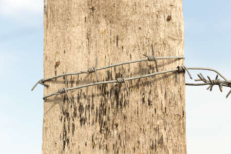 Barbed wire on a wooden post against blue skyの写真素材