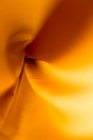 yellow curtainsの写真素材