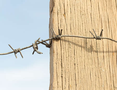 Barbed wire on a wooden post against blue skyの写真素材