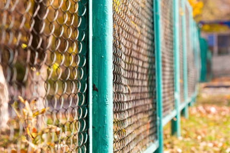 background of autumn leaves at the chain-link fence. colorful fall leaves are illuminated by sunlight and lying at the fenceの写真素材